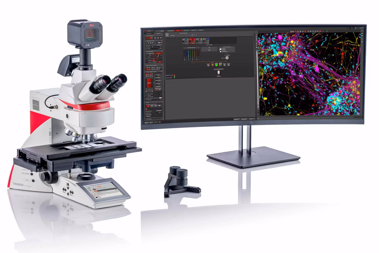 THUNDER Imager Tissue Neurons List 01 Kid21776130