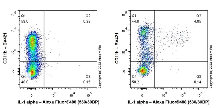 Anti-IL-1 alpha antibody [EPR25263-27](ab300499)