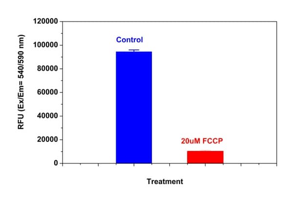 Orange Mitochondrial Membrane Potential Assay Kit (Microplate)(AB138899)