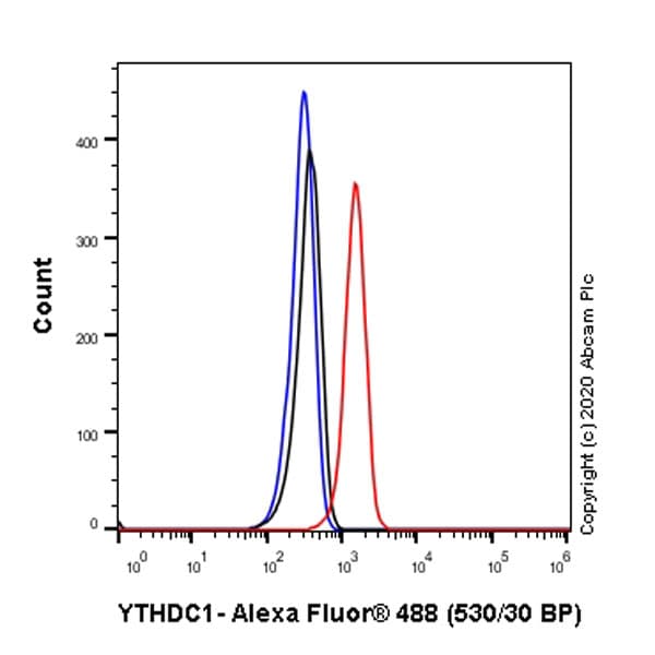Anti-YTHDC1 antibody [EPR21821-213](AB259990)
