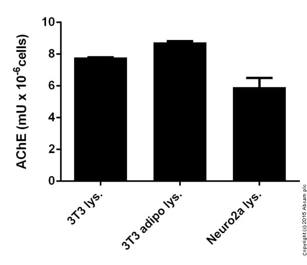 Acetylcholinesterase Assay Kit (Fluorometric -Red)(AB138873)