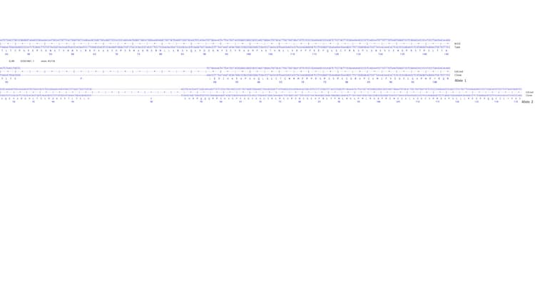 Human IL6R knockout HCT116 cell line(AB287551)