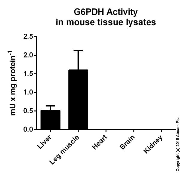 Glucose 6 Phosphate Dehydrogenase Assay Kit (Colorimetric)(AB102529)