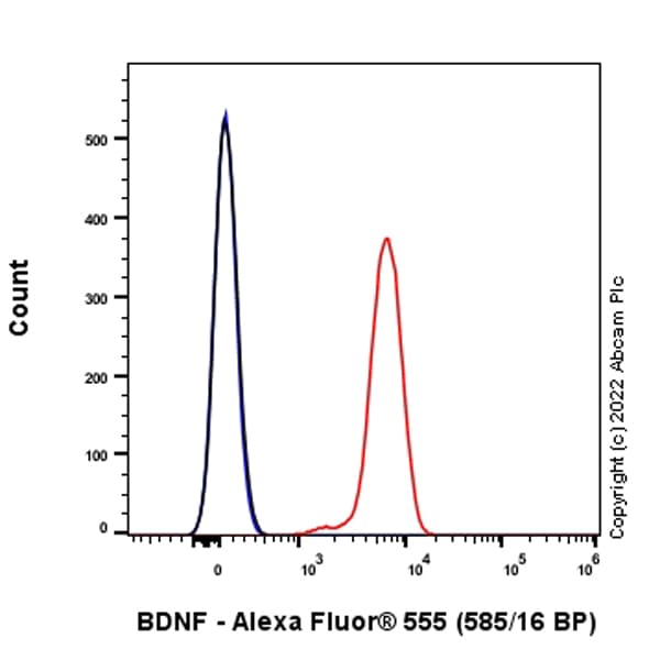 Alexa Fluor® 555 Anti-BDNF antibody [EPR1292](AB305366)