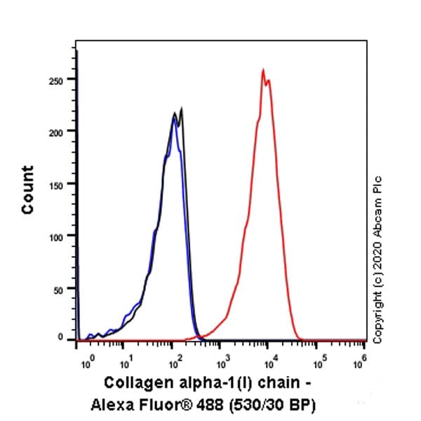 Anti-Collagen I antibody [EPR24331-53](AB270993)