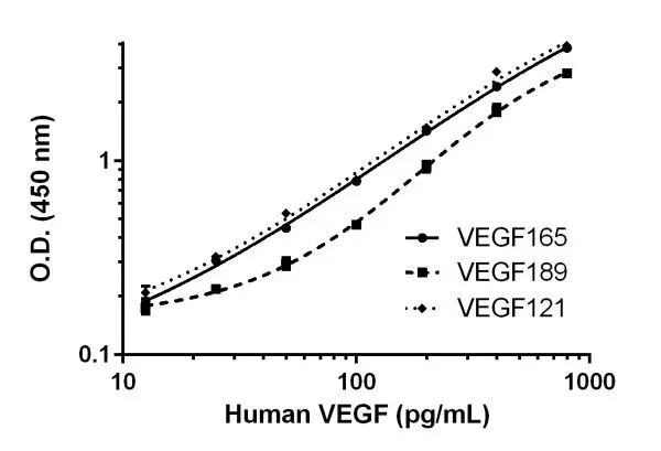 Human VEGF ELISA Kit(AB222510)