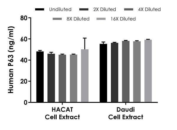 Human P63 ELISA Kit(AB234564)
