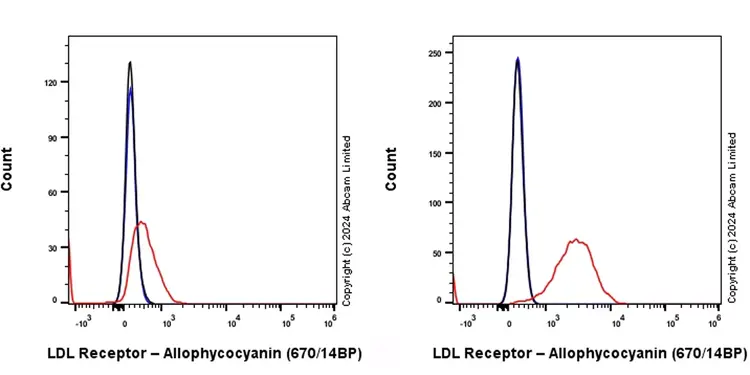 APC Rabbit IgG, monoclonal [EPR25A] - Isotype Control(AB232814)