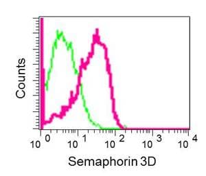 Anti-SEMA3D antibody [EPR13458(B)] - C-terminal(AB180174)