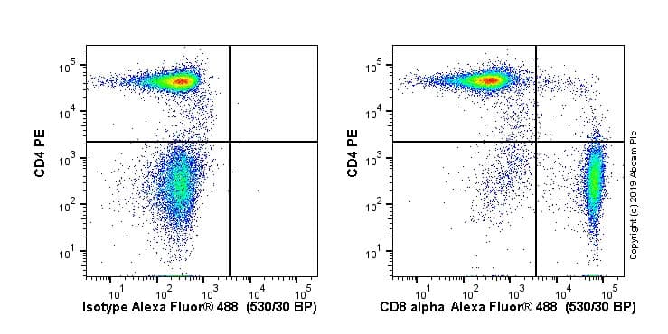 Anti-CD8 alpha antibody [OX-8](AB33786)