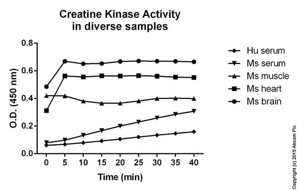 Creatine Kinase Activity Assay Kit (Colorimetric)(AB155901)