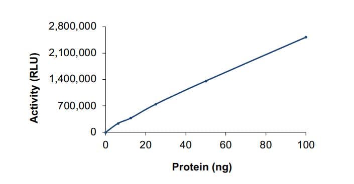 Recombinant human PI4 kinase beta/PI4KB protein (Active)(AB268863)