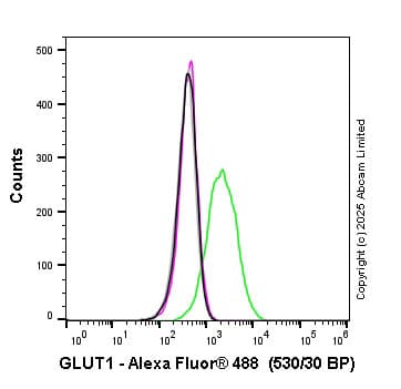 Anti-Glucose Transporter GLUT1 antibody [SP168](AB150299)