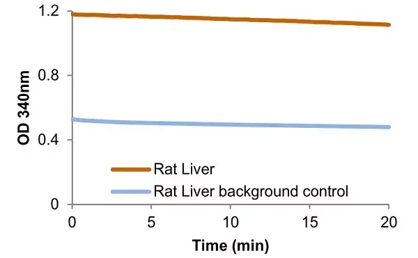 Dihydrofolate Reductase Assay Kit (Colorimetric)(AB239705)