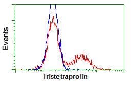 Anti-Tristetraprolin/TTP antibody [OTI8B5](AB124024)