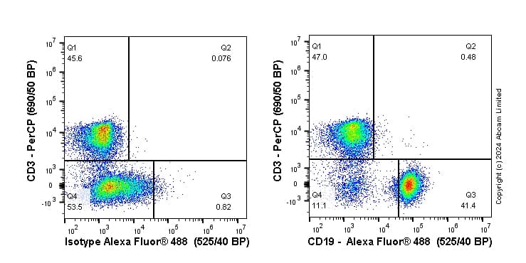 Anti-CD19 antibody [EPR23174-145](AB245235)