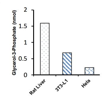 Glycerol-3-phosphate (G3P) Assay Kit (Colorimetric)(AB174094)