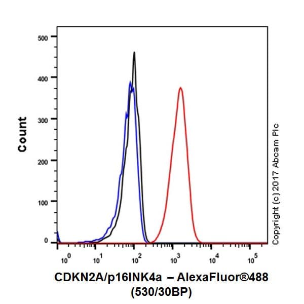 Anti-CDKN2A/p16INK4a antibody [EPR20418](AB211542)