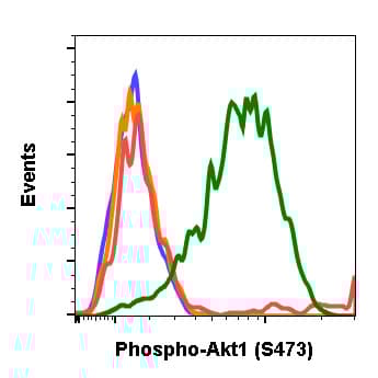 Anti-AKT1 (phospho S473) antibody [AktS473-B9](ab278559)