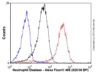 Anti-Neutrophil Elastase antibody [EPR7479](AB131260)
