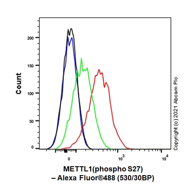 Anti-METTL1 (phospho S27) antibody [EPR24280-9](AB271062)
