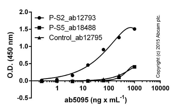 Anti-RNA polymerase II CTD repeat YSPTSPS (phospho S2) antibody(AB5095)