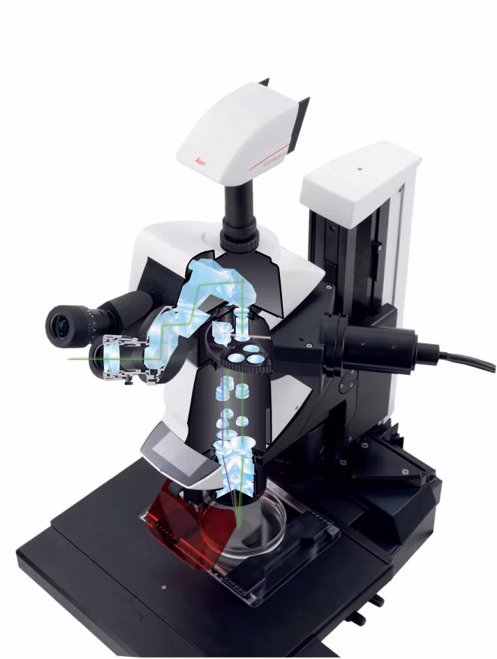 Leica Microsystems M205 Fa Image3