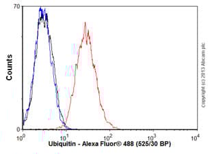 Anti-Ubiquitin antibody [EPR8830](AB134953)