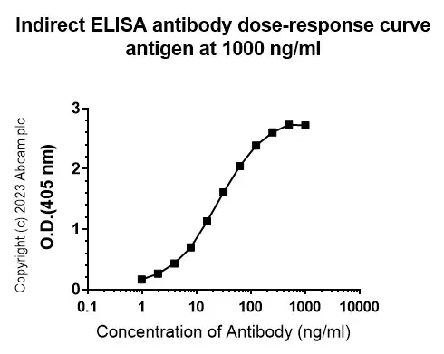 Anti-Streptococcus mutans Cell surface antigen I/II antibody [EPR28235-11](AB316006)