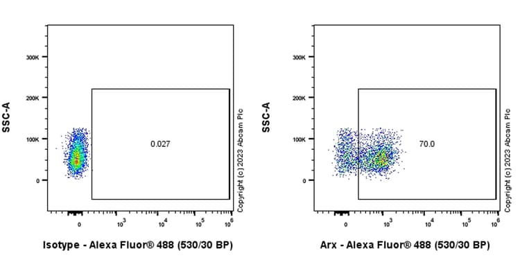 Arx Antibody Epr27481 32 Ab308260  Flow Cytometry Intracellular Img408875