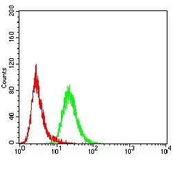 Anti-KDM2B antibody [6F6G11](AB234082)