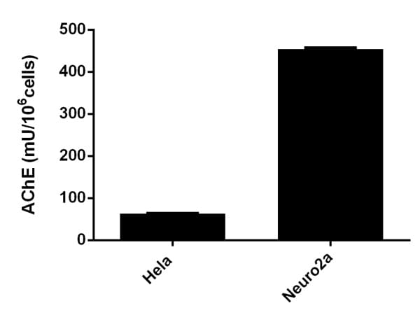 Acetylcholinesterase Assay Kit (Colorimetric)(AB138871)