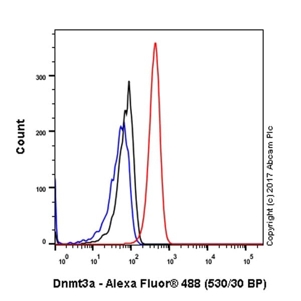 Anti-Dnmt3a antibody [EPR18455](AB188470)