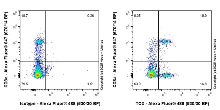 Anti-TOX antibody [EPR28108-10](ab322259)