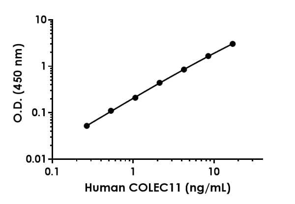 Anti-COLEC11 antibody [EPR24192-149] - BSA and Azide free (Detector)(AB285133)