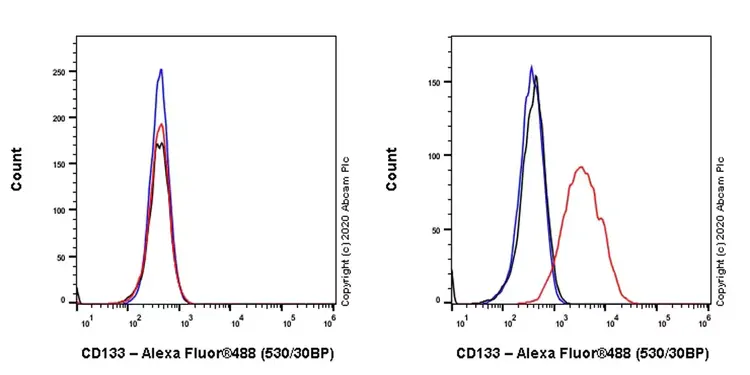 Rabbit IgG, monoclonal [EPR25A] - Isotype Control(AB172730)