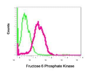 Anti-PFKM antibody [EPR10734(B)] - BSA and Azide free(AB232495)