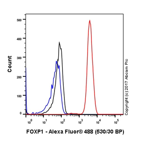 Anti-FOXP1 antibody [EPR4113](AB134055)