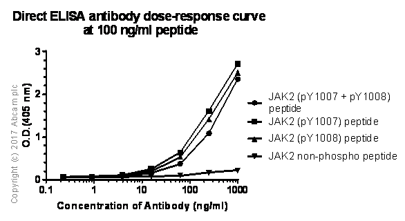Anti-JAK2 (phospho Y1007 + Y1008) antibody [E132](AB32101)