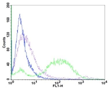 Phagocytosis Assay Kit (Green E.coli)(AB235900)