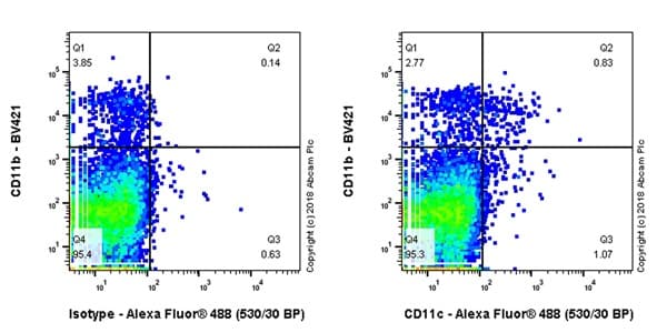 Anti-CD11c antibody [EPR21826](AB219799)