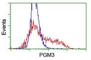 Anti-PGM3 antibody [OTI1A11](AB128094)
