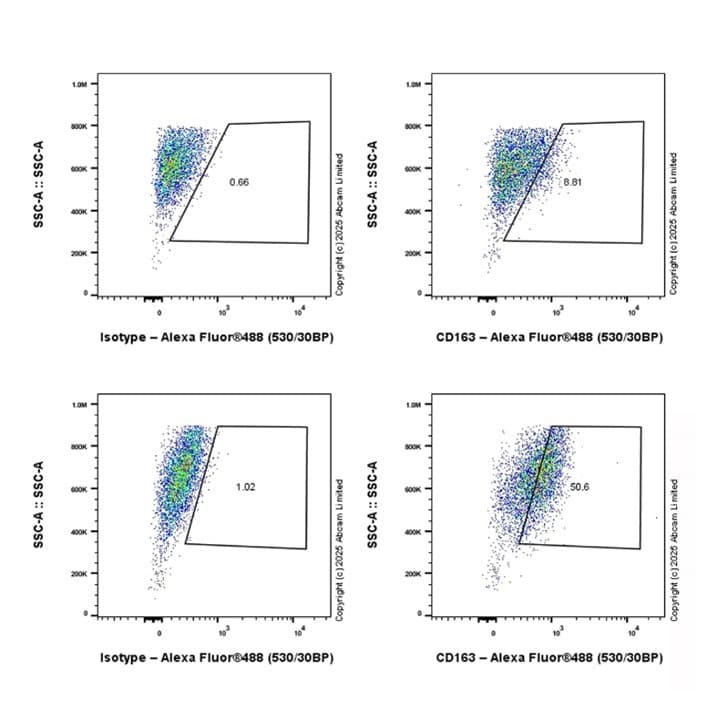 Anti-CD163 antibody [EPR19518] - BSA and Azide free(AB213612)