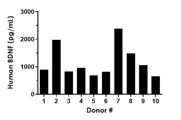 Human BDNF ELISA Kit(AB212166)