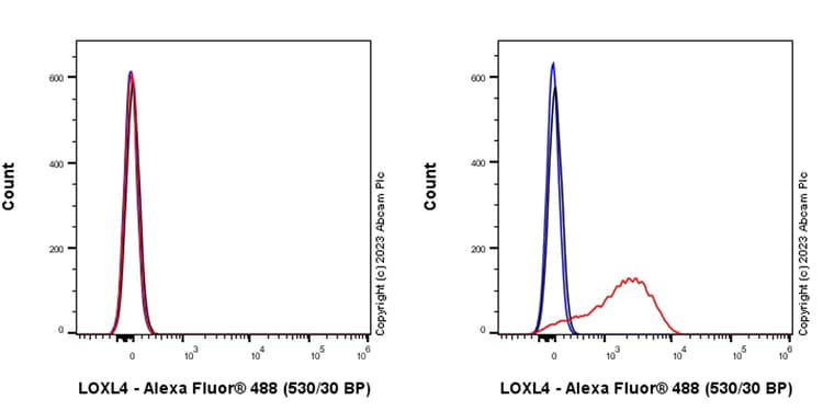 Loxl4 Antibody Epr28300 90 Bsa And Azide Free Ab313798  Flow Cytometry Intracellular Img419071