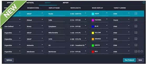 IN Carta Image Analysis Software