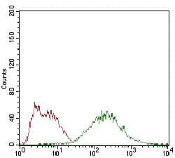 Eif2a Antibody 3a7b11 Ab181467  Flow Cytometry Img121689
