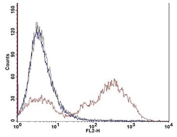 Phagocytosis Assay Kit (Red Zymosan)(AB234054)