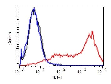 Anti-Cytokeratin 8 antibody [EP1628Y] - Cytoskeleton Marker(AB53280)