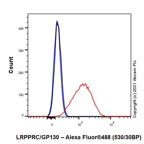 Anti-LRPPRC/GP130 antibody [EPR24052-38](AB259927)
